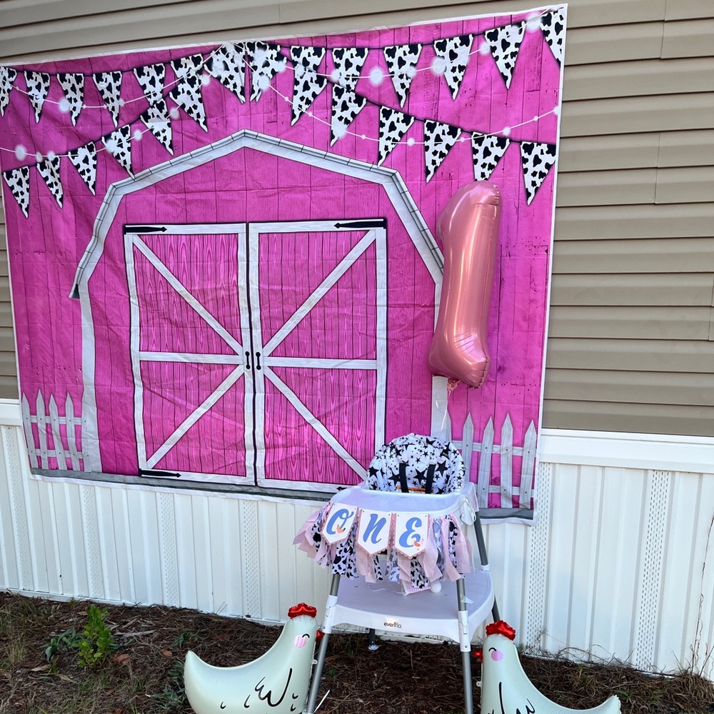 Farm-Themed Chicken First Birthday Decor Bundle with Pink Barn Photo Backdrop